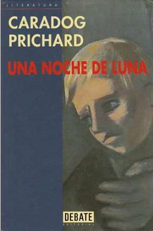 Una noche de luna