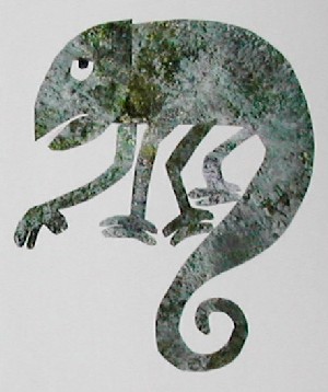 El camaleón camaleónico