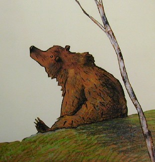 El milagro del oso