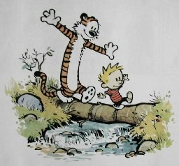 CALVIN Y HOBBES