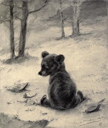 El bosque de Tallac