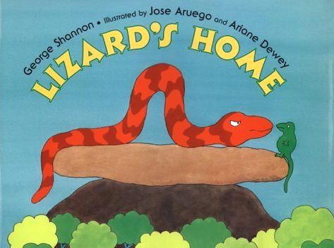 Lizard’s home