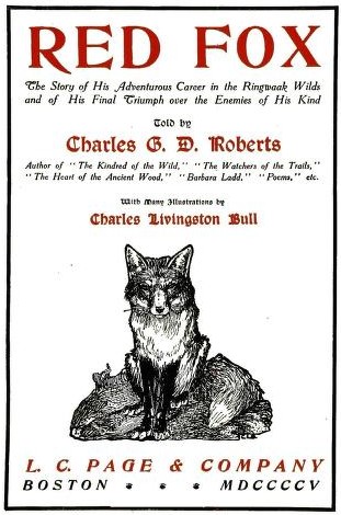Red Fox