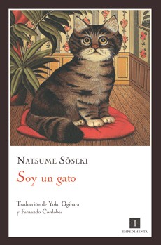Soy un gato